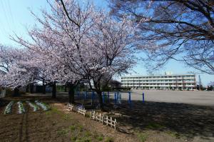 絹川小学校