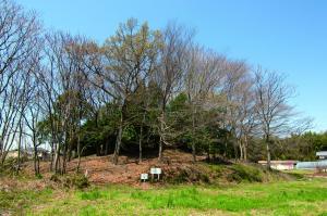 古山の備中塚古墳