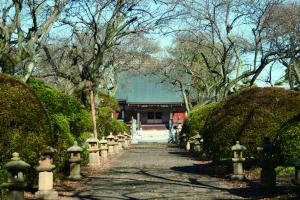 うめでら(東持寺)