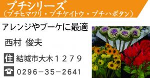 結城ブランド認定品16_プチシリーズ