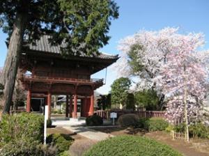 孝顕寺3