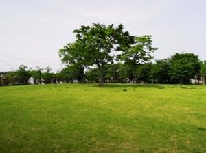 FC_南部中央公園5