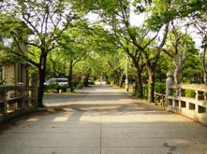 FC_城跡歴史公園3