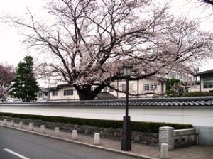 FC_築地塀街道2