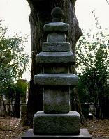 結城朝光の墓