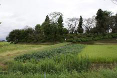 結城城跡