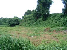 山川綾戸城