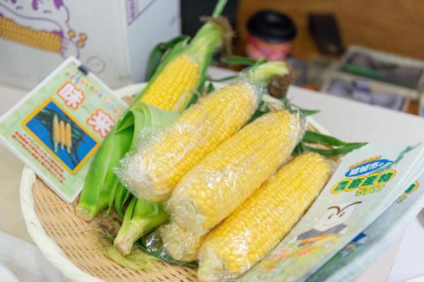 写真(3)