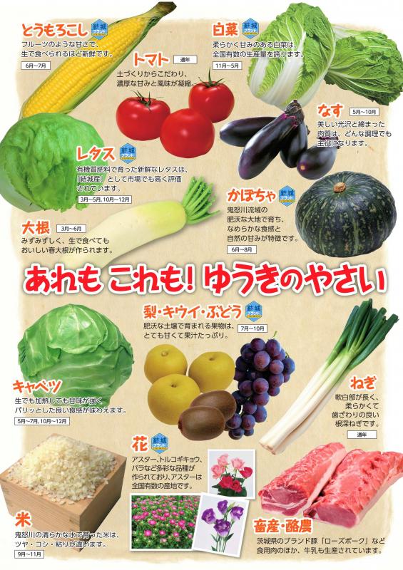 結城市の主な農畜産物