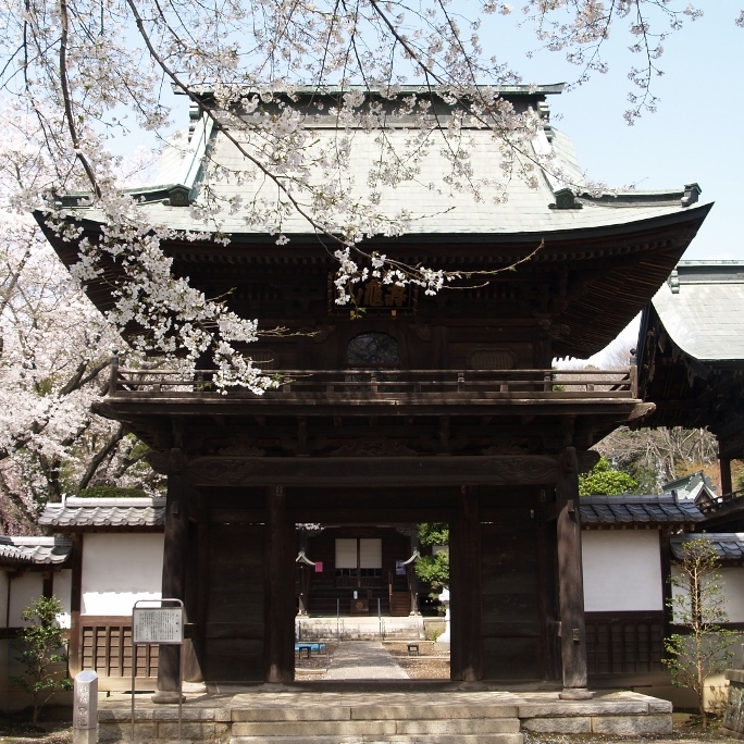 弘経寺 (1024x768)