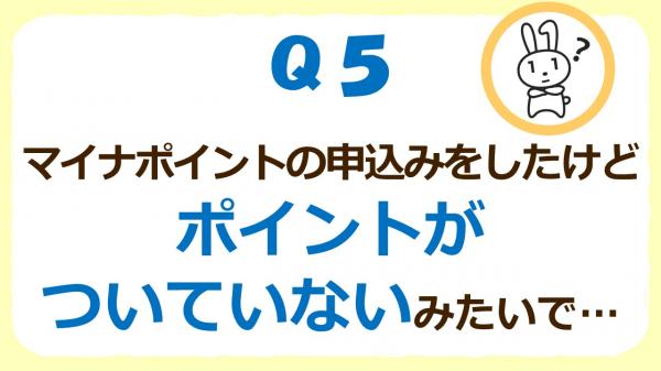 Q5ポイントがついていない