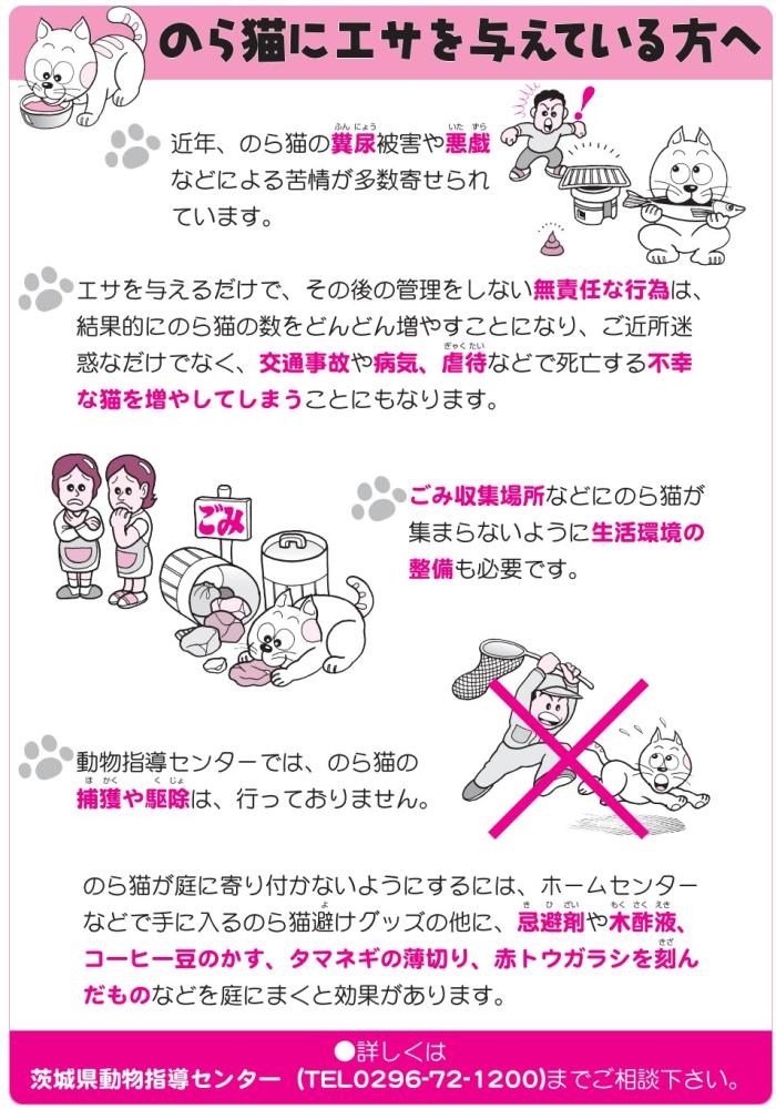 野良猫にエサを与えている方へ