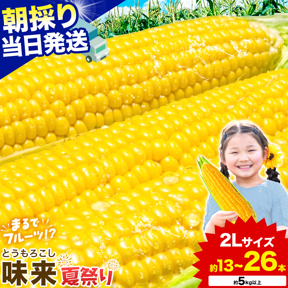ふるさと納税（とうもろこし）