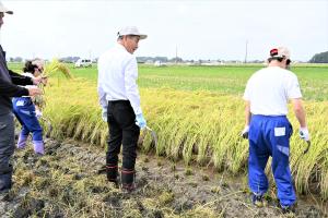 市長の1日_20260924_結城f通作部会稲刈り体験